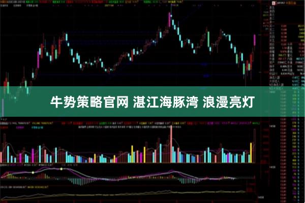 牛势策略官网 湛江海豚湾 浪漫亮灯